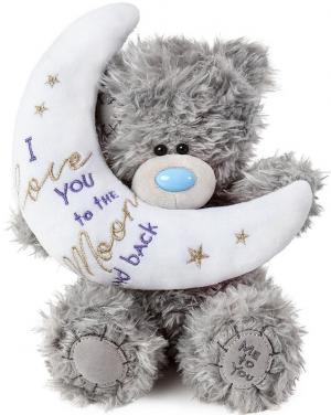 Nalle "Love you to the moon..."